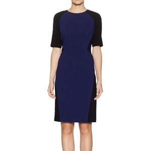 Faryn Sheath Dress